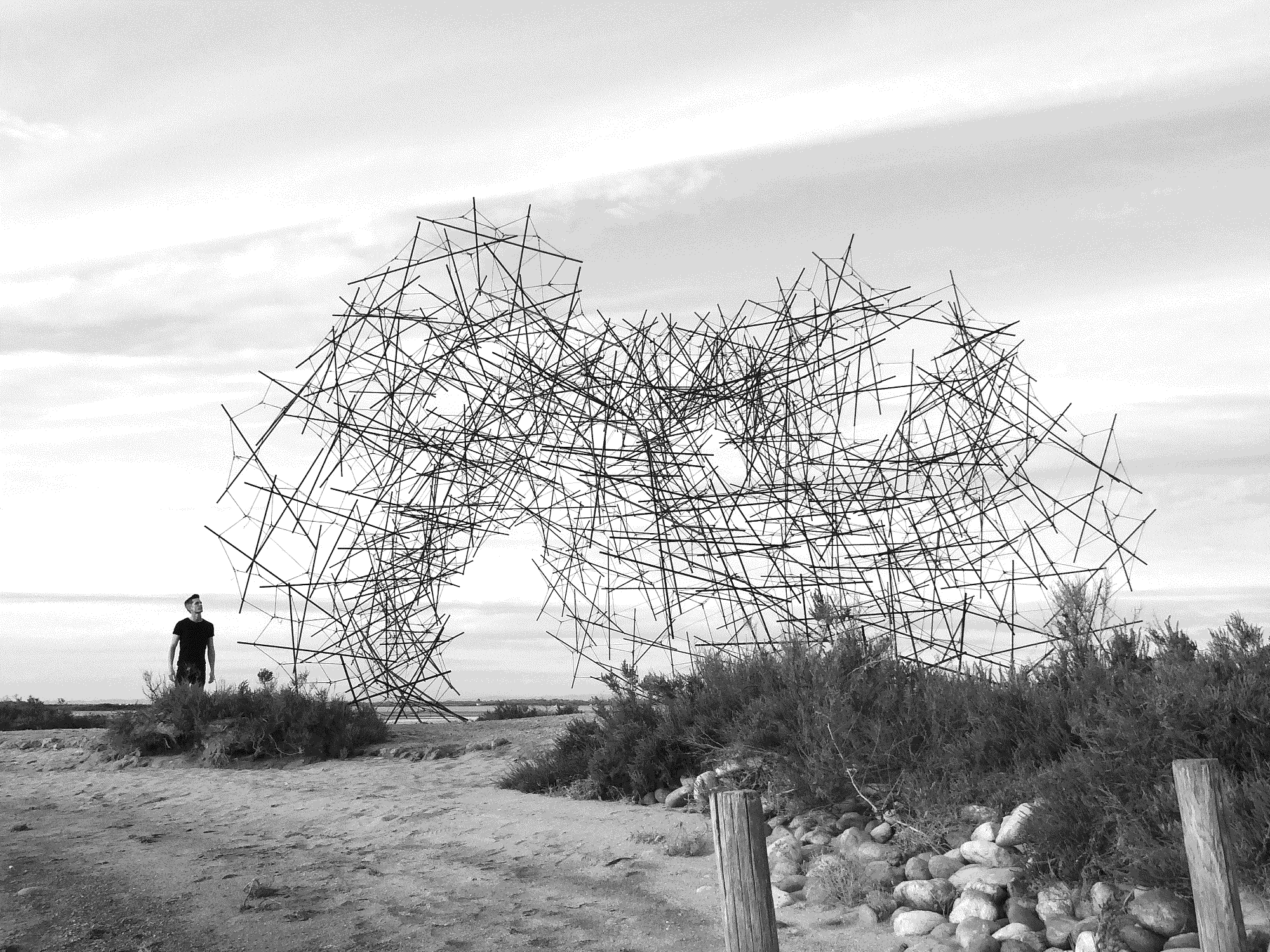 Ludovic_Regnault_Murmuration_1, 2024, Carbon Fiber & Polypropylene